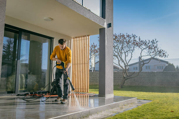 Solar Panel Cleaning